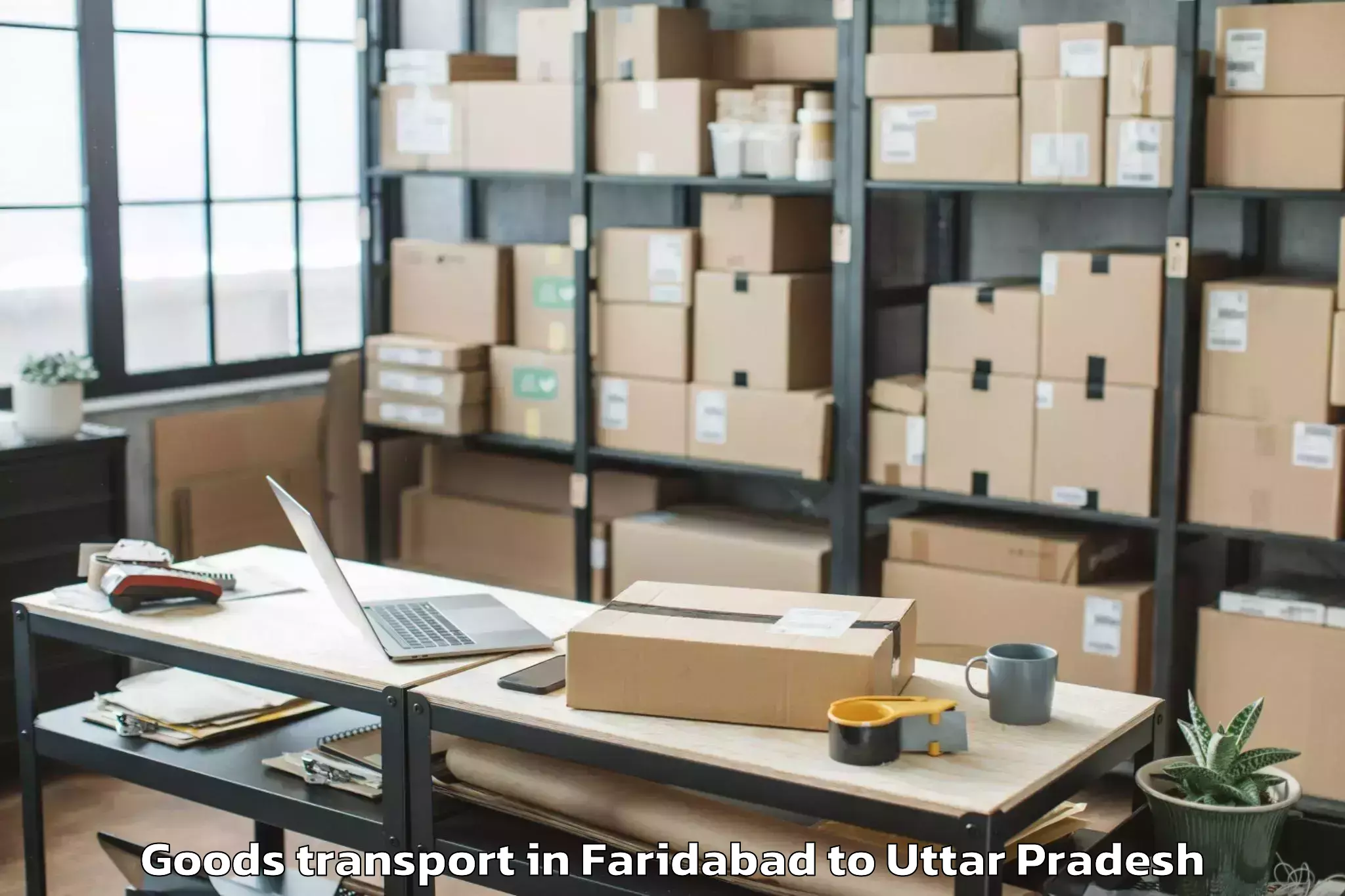 Expert Faridabad to Afzalgarh Goods Transport